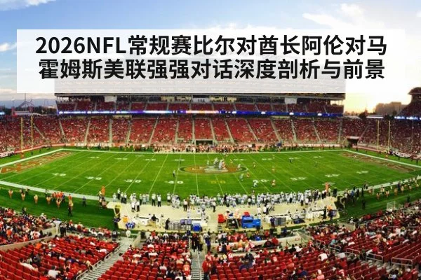 NFL stadium crowd night game
