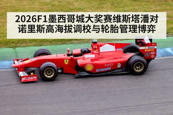 2026F1墨西哥城大奖赛维斯塔潘对诺里斯高海拔调校与轮胎管理博弈 | Leyu